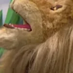 Chuck the Lion