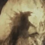 Godzilla (Monsterverse)