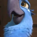 Blu (Rio)