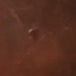 Giant Spider