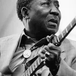 Muddy Waters