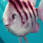 Floundra (Mckenna Grace)