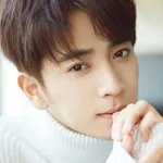 Chen Ruoxuan