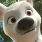 Bolt