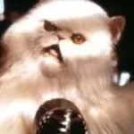 Mr. Tinkles