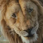 Masego (Mufasa The Lion King)