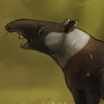 Tapirus augustus