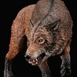 Dire Wolf