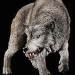 Dire Wolf