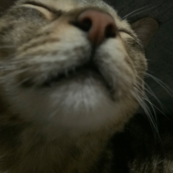 Max