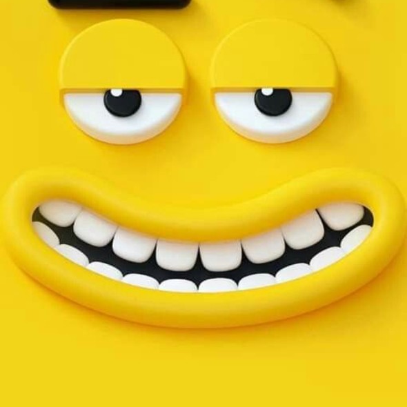 cody habib