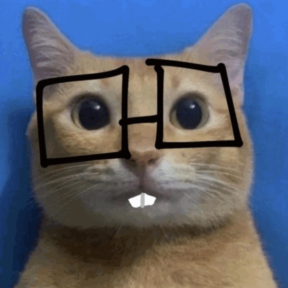 nowhed