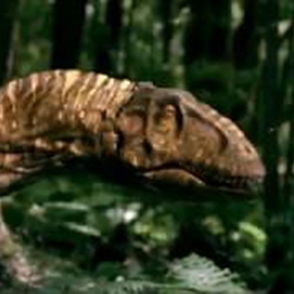 Allosaur Fan