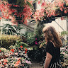 kylee t