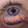 Wolvy Visuals