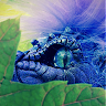 v Wiemelt