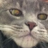 Julia McCat