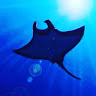Blue Manta