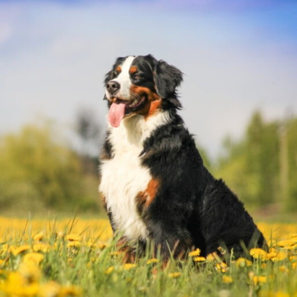 alexanderk99