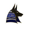 Ahmed Anubis