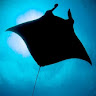 MantaRay -3000