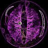 Purple-Eyes Grey Dragon