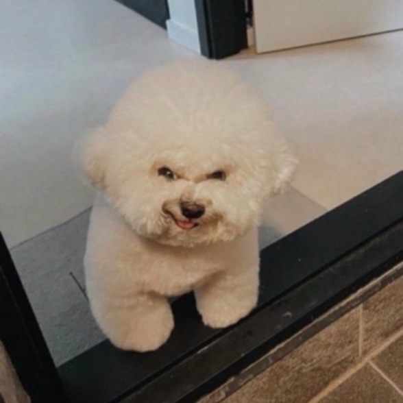 Hi Bye