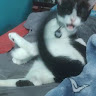 amaya jimenez
