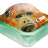 Kees Apenvlees