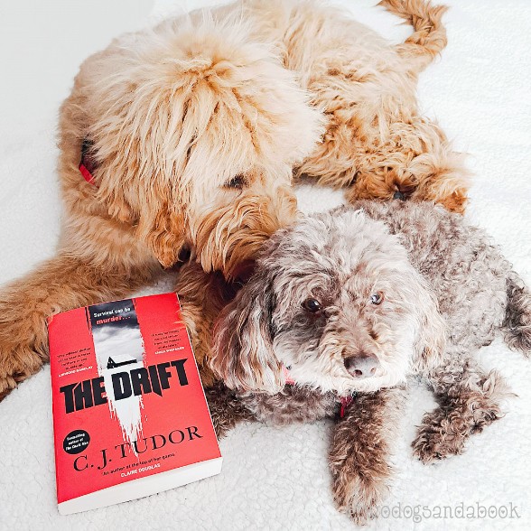 Guylou twodogsandabook