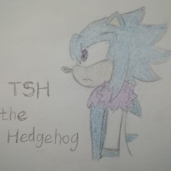 tsxsonic134