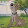 Scampy Doo