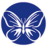 Social Butterfly