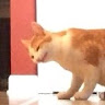 I'm Tired