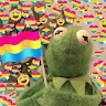 Nico Amigo