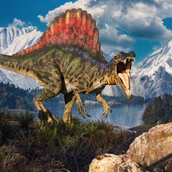 spinosauridae