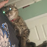 meeks lover