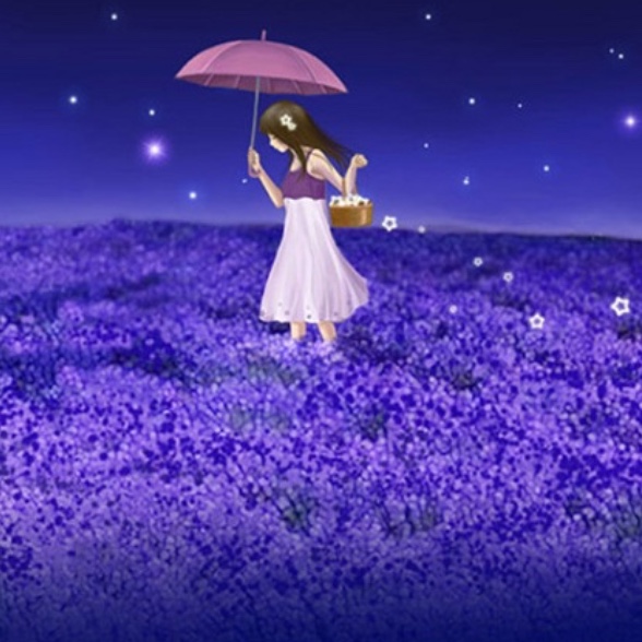 Lavender Fields