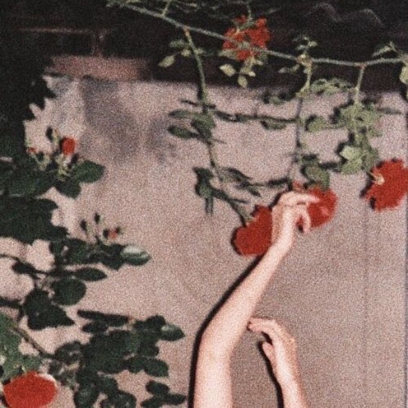 ari