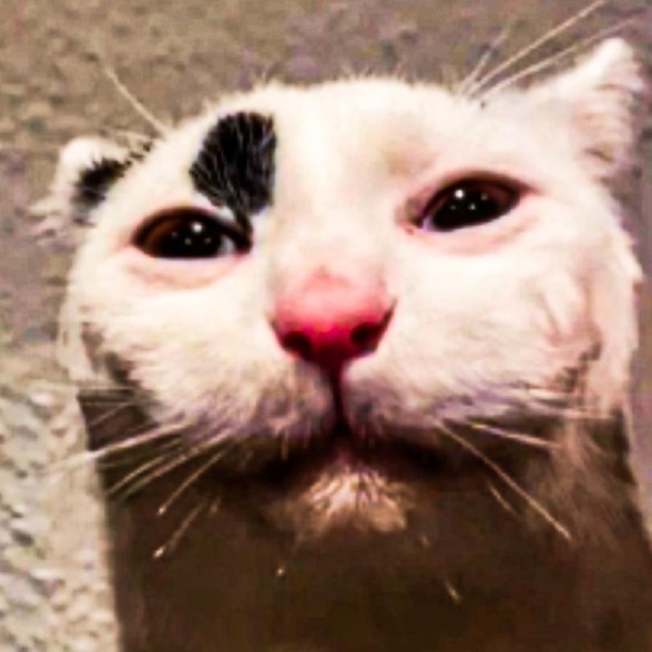 sonadow