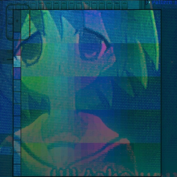 lj