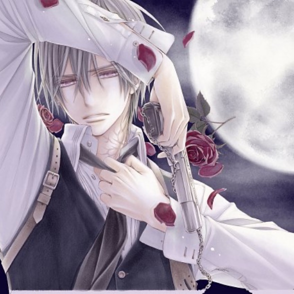 Zero Knight
