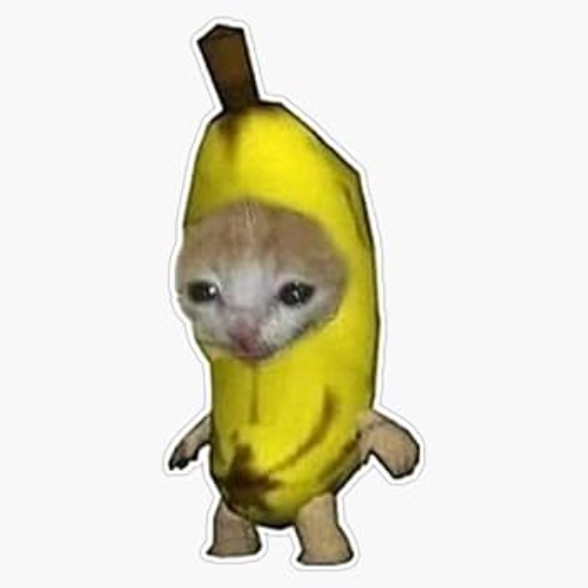 hahahahamoli