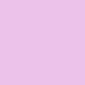 529perla //