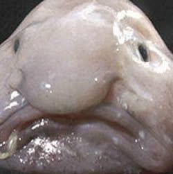 Amorphous Blob