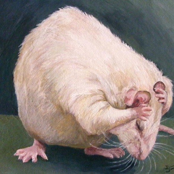 Gilly Fairfield