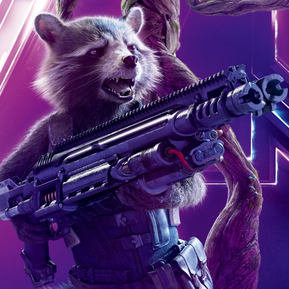 rocketracoon