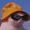 Lu Milkovich