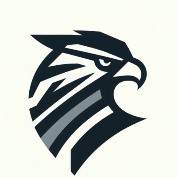 hawkmaestro