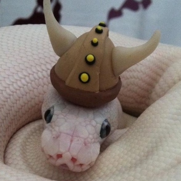 crute_snake